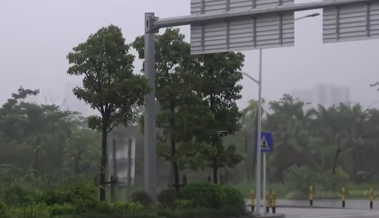 プロペラ切断・重量物牽引・木の枝接触・小雨でも3.7km!Mavic PRO驚異の機体バランスに驚愕せよ!