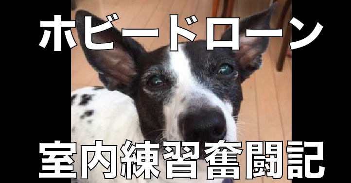 【ホビードローンの練習奮闘記】ドローンを飛ばすのって意外と簡単!?
