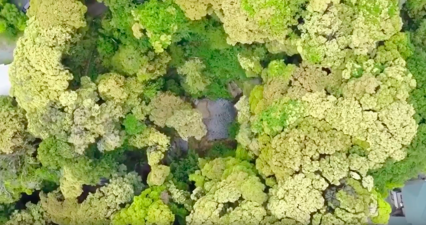 ドローンで『滝』を空撮してみた。