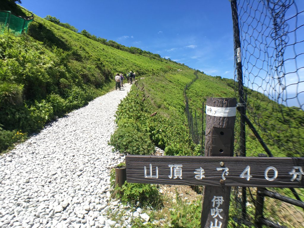 伊吹山でPhantom4ProとMavic PROでドローン空撮。