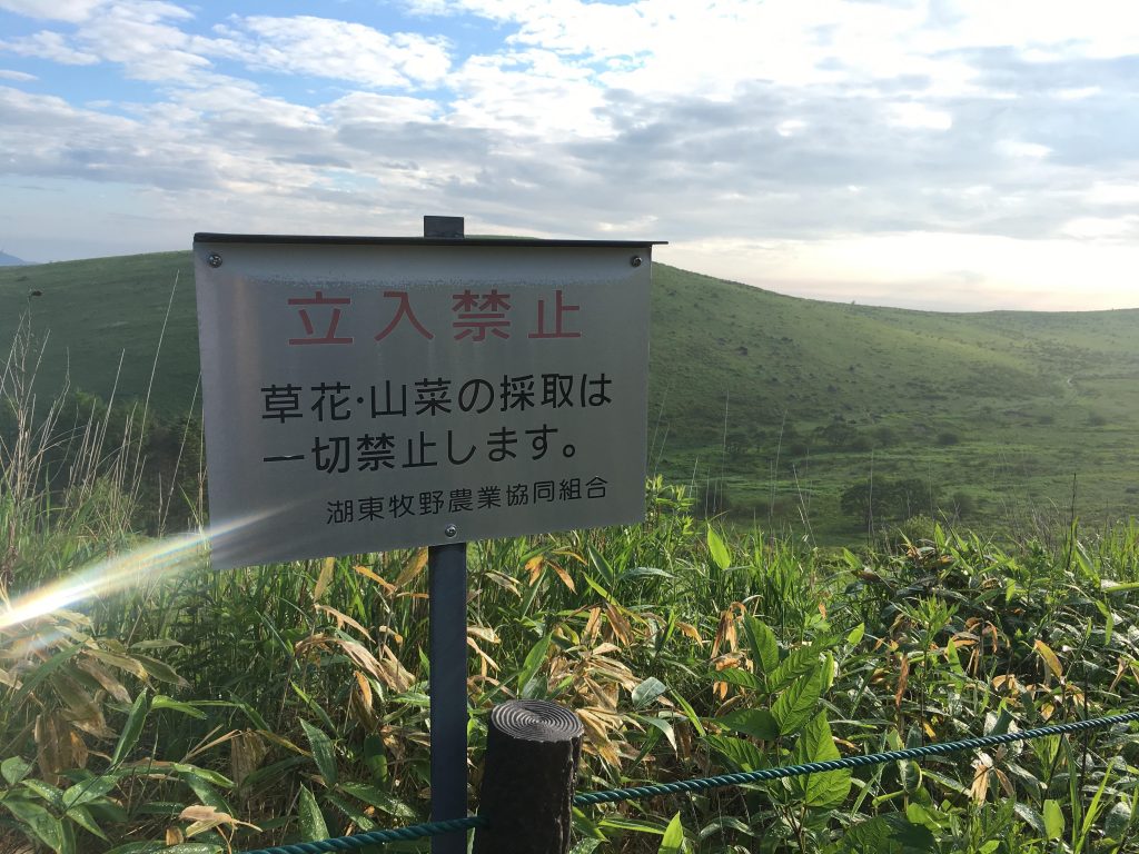 長野ドローン空撮|まるで天国!霧ヶ峰高原&ビーナスラインの絶景に出会う旅