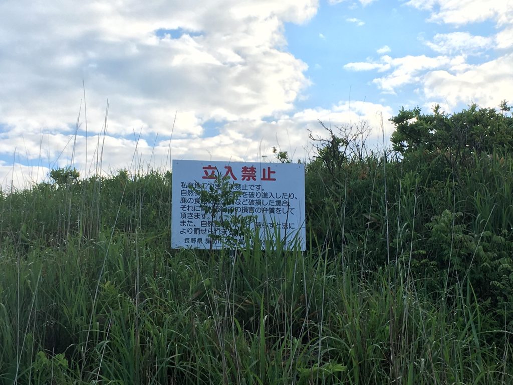 長野ドローン空撮|まるで天国!霧ヶ峰高原&ビーナスラインの絶景に出会う旅