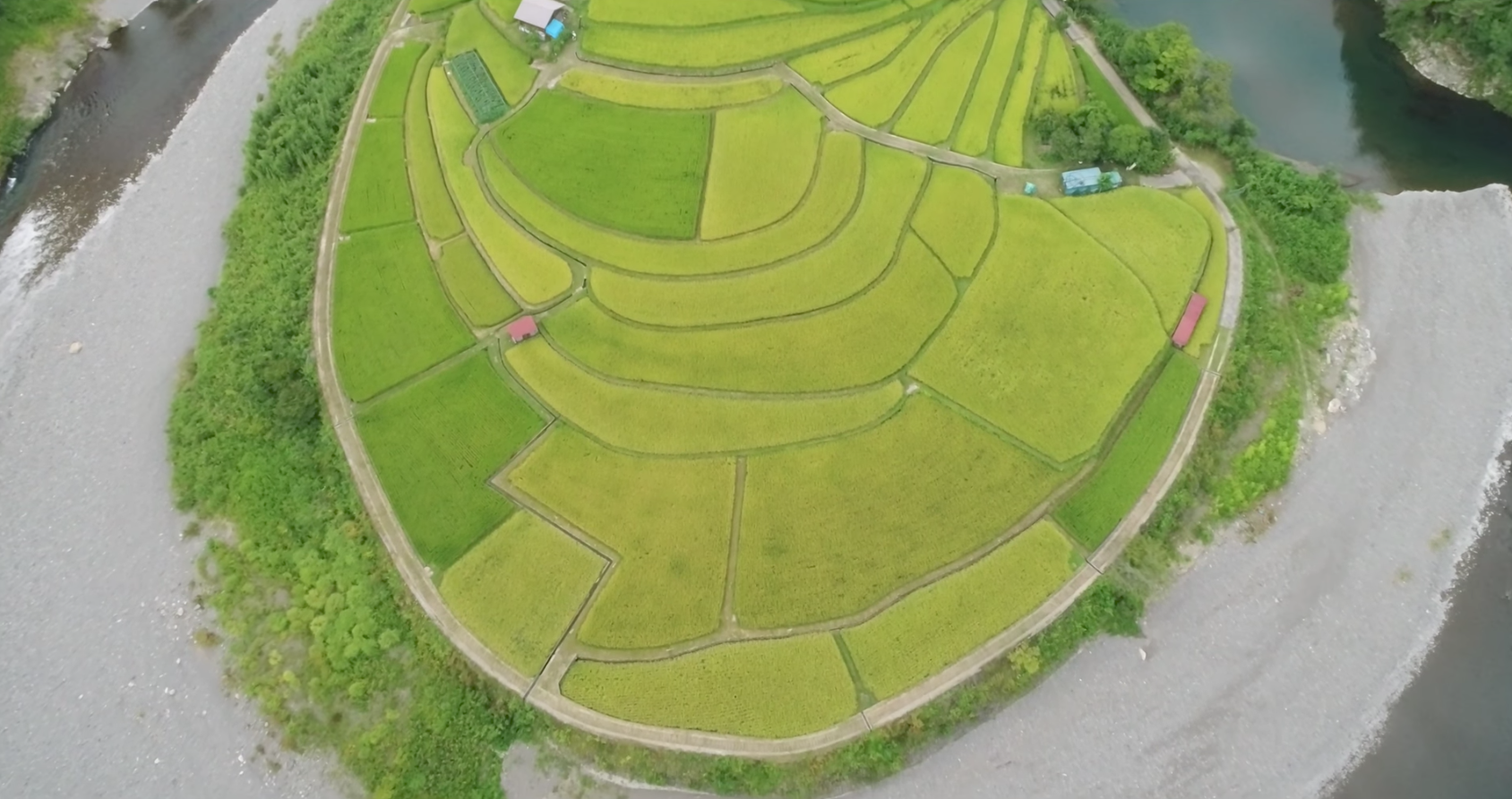 和歌山ドローン空撮inあらぎ島|孤島のような棚田の形状が面白い