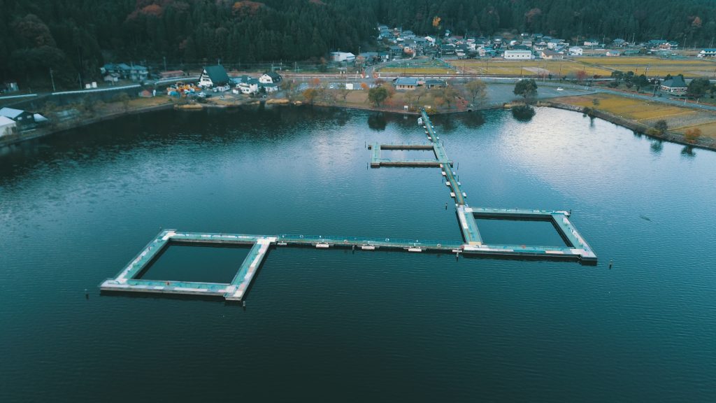 ドローンで楽しむ滋賀県秋の紅葉
