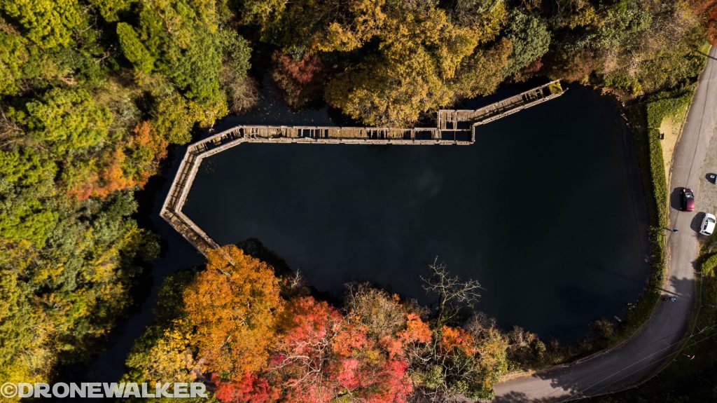 ドローンで楽しむ滋賀県秋の紅葉
