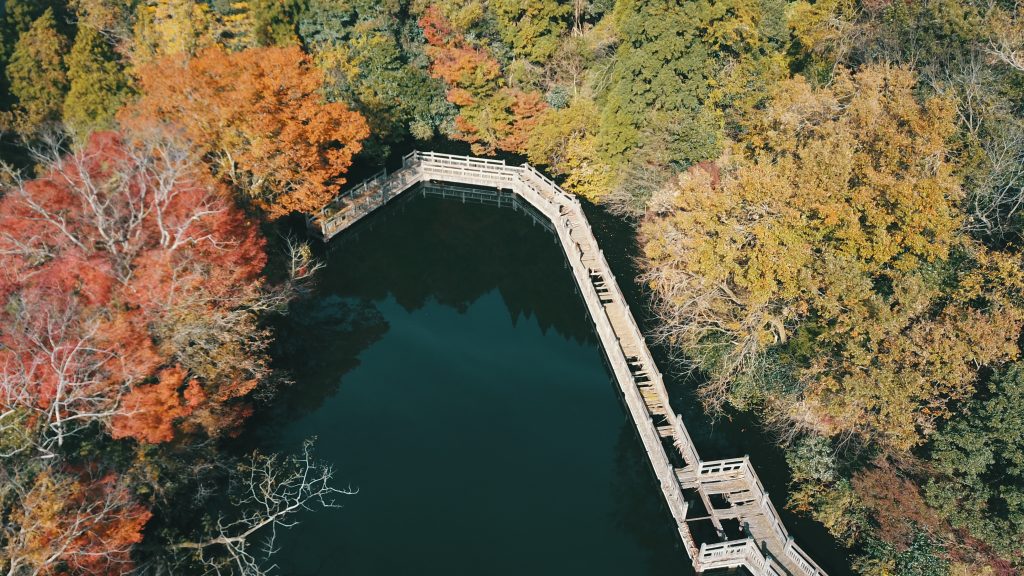 ドローンで楽しむ滋賀県秋の紅葉