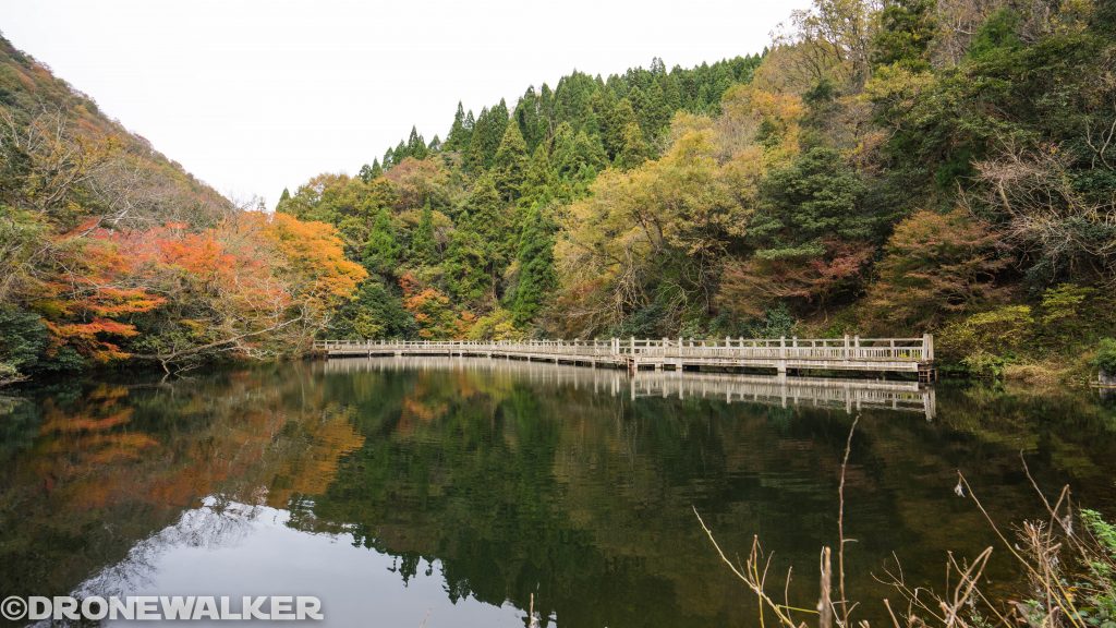 ドローンで楽しむ滋賀県秋の紅葉