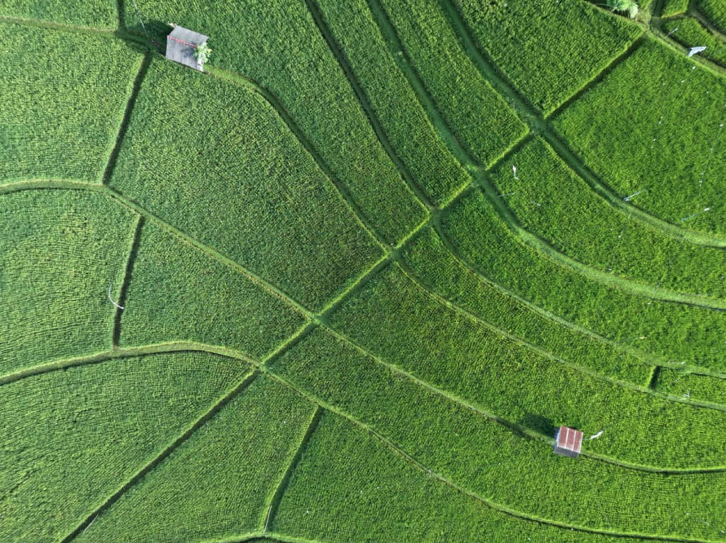 MavicAIRで撮影した空撮写真