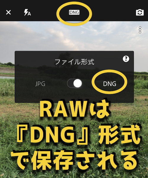 Iphone スマホ でraw写真を撮影する方法と注意点 ライトルーム ドローン ウォーカー