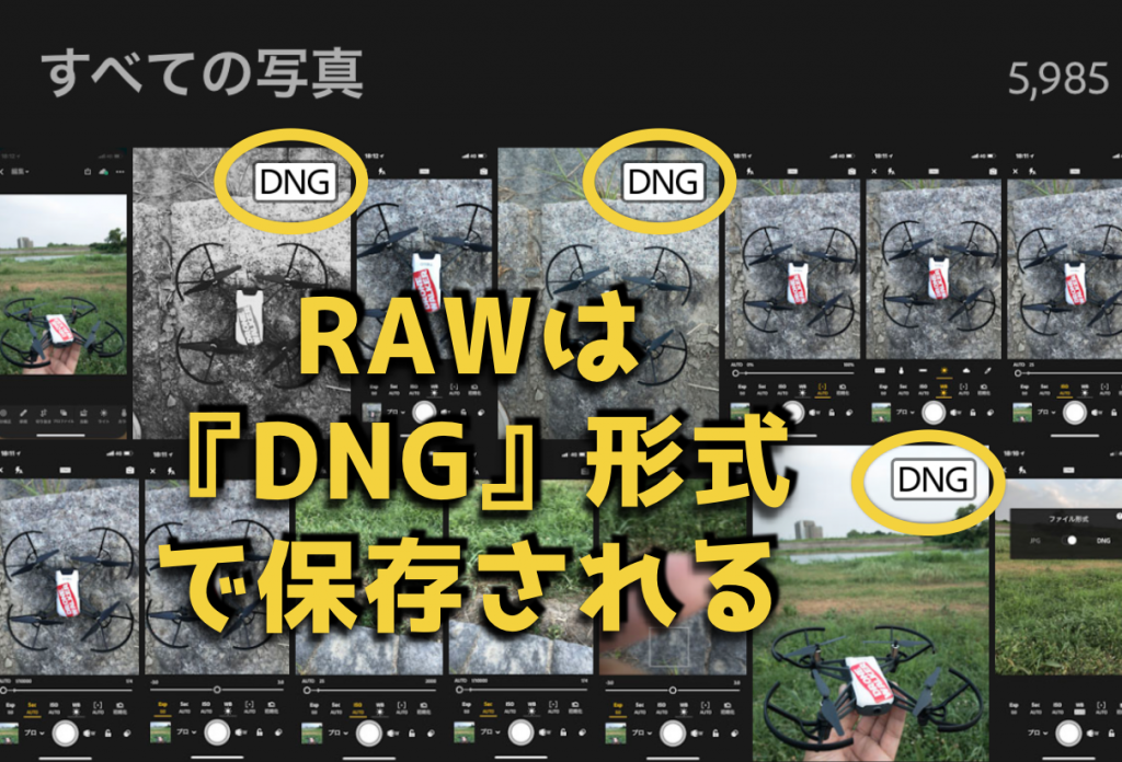 Iphone スマホ でraw写真を撮影する方法と注意点 ライトルーム ドローン ウォーカー