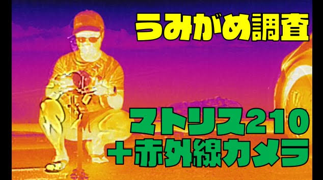 ドローンの赤外線カメラはうみがめ(海洋生物)の調査に使えるのか?