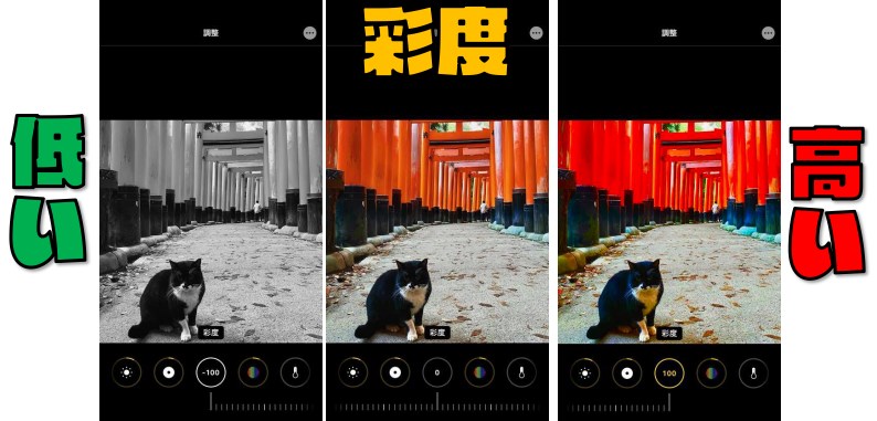 【2020年完全ガイド】iPhone11の写真を劇的によくする編集方法まとめ